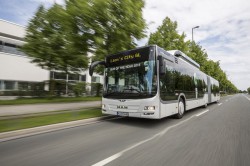 Le Man Lion’s City remporte le prix « Bus de l’année 2015 » !