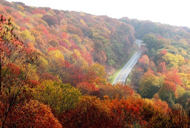 Conduire en automne : quels sont les dangers ?