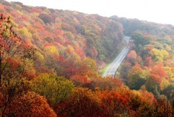 Conduire en automne : quels sont les dangers ?